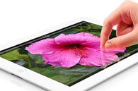 NovoiPad195.jpg