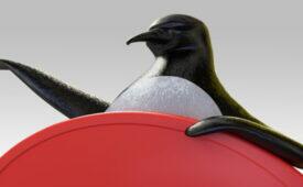 pinguim-ponto-frio-destaque.jpg