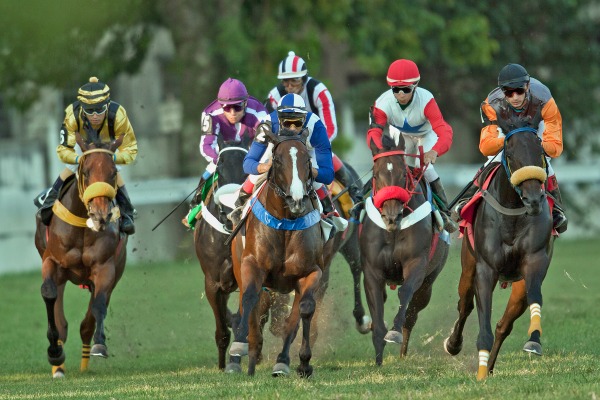 PMU passa a operar rede de apostas do Jockey Club Brasileiro