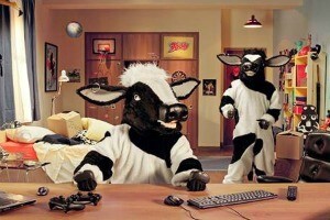 Quarto da Cowzação, de Toddy