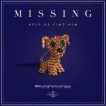 missingpuppy