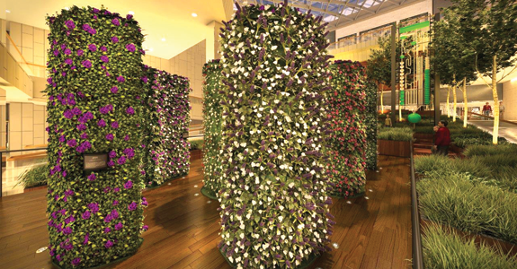 Iguatemi50Anos_Aromatique-3d_575