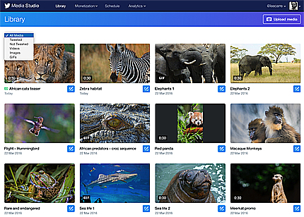 (Crédito: Reprodução)