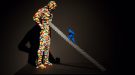 the-art-of-the-brick-credito-divulgacao-18