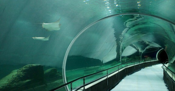 AquaRio