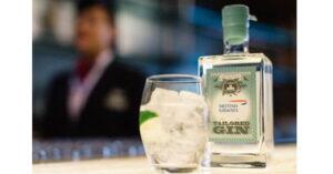 British_Gin_575