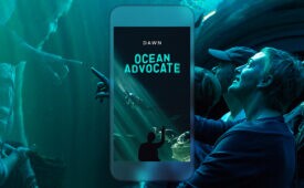 https---press.atairbnb.com-app-uploads-2016-11-dawn_oceanadvocate