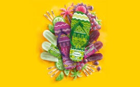 imagem-promo-havaianas-destaque