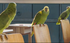 loro_575