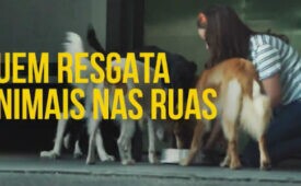 mtnovasb
