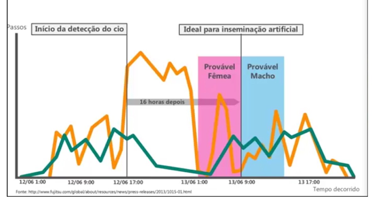 gráfico