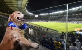 RP1_strip_86002_0_web