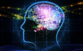 Abstract design made of head outlines, lights and abstract design elements on the subject of intelligence,  consciousness, logical thinking, mental processes and brain power