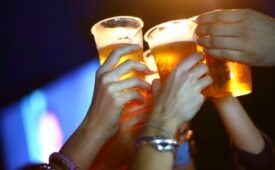 Closeup of group of unrecognizable adults toasting with draft beer. They are drinking out of plastic disposable cups, low angle shot.