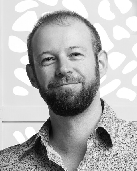 A REvolução de Cannes em 2017