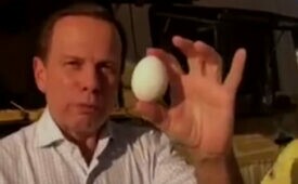 doria