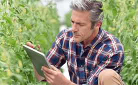 BayerCropScience_575