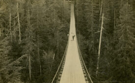 pic_newoldstock_risco