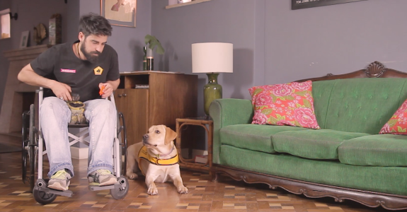 Cães de assistência são tema de websérie para Eukanuba
