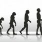 Darwin e a evolução das agências