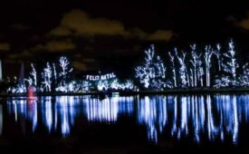 Elo estreou no espetáculo do Ibirapuera em 2017 (Crédito: Reprodução)