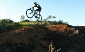 Créditos: divulgação