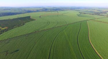 Basf conclui aquisição de ativos agro da Bayer