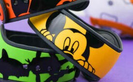 disneyband