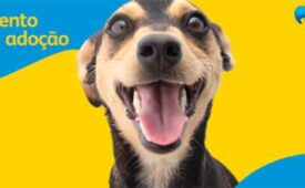 Petz-Adocao
