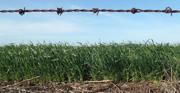 Empresas de agronegócio precisam defender causas