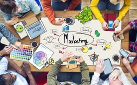 Diverse People Working and Marketing Concept