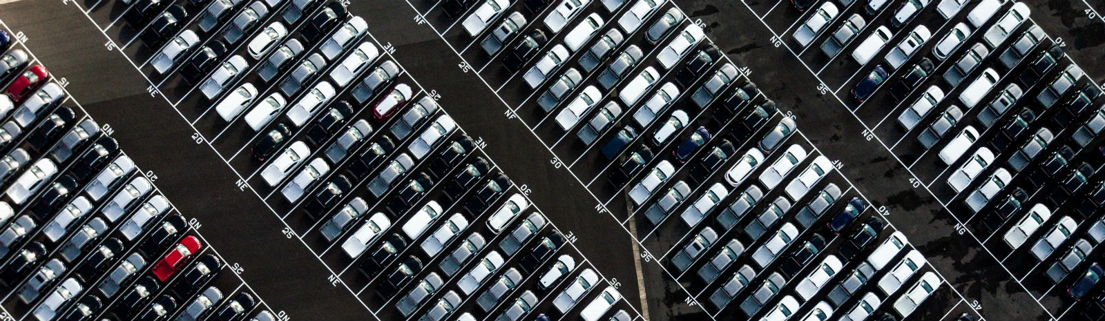 carros_1600_ryan_searle_unsplash