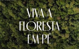MeioAmbiente_Natura_575