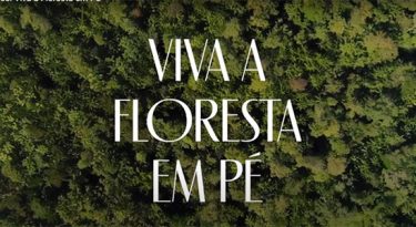 Natura e Boticário repudiam manifesto sobre meio ambiente