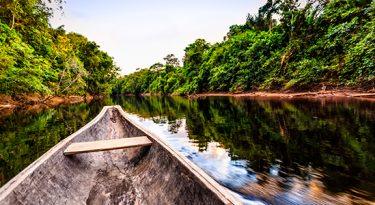 Natura e Rock in Rio farão esforço conjunto pela Amazônia