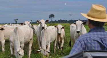 Com novos canais, agro vive fase pop na TV
