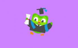 Duolingo_575