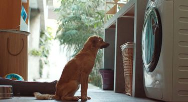 Electrolux se reposiciona na América Latina