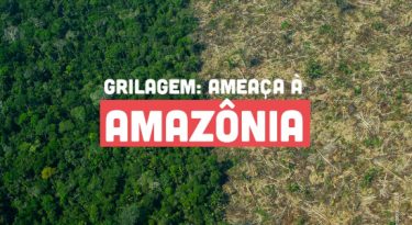 Dança das contas: Greenpeace, Menactra e outros