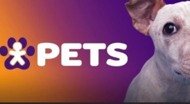 Vivo cria movimento para adoção de pets