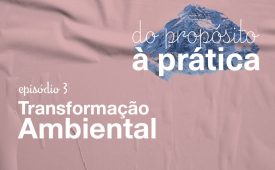 Episódio 3: Transformação ambiental