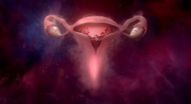 “#WombStories conquista o Grand Prix de Titanium