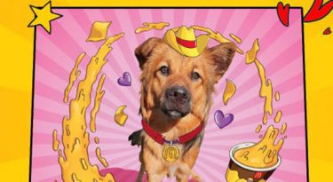 Méqui incentiva a adoção de pets através do Instagram