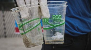 A onda ESG e as armadilhas das práticas green, social e rainbow washing
