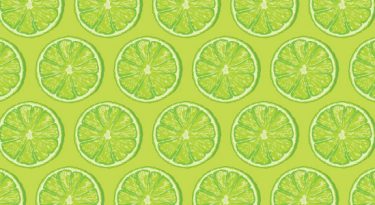 Novas lições empresariais (e de vida) em uma banquinha de limonada