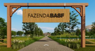 BASF lança hub de conteúdo do agronegócio