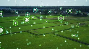 A representatividade do agtech no venture capital