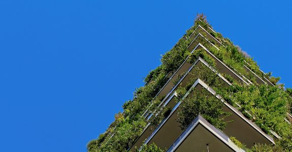 Os desafios do mercado para ser “verde”