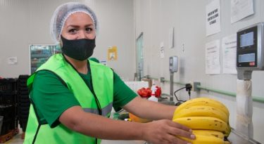 Supermercado digital Justo inicia expansão no Brasil