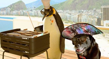 Ponto escolhe ‘cachorra praiana’ como garota propaganda